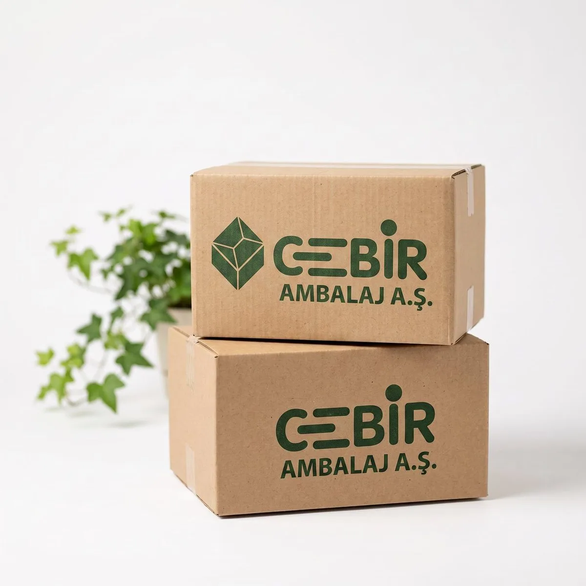 Cebir Ambalaj Kutuları